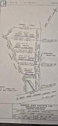 100C Main Street, Lewin'S Cove, NL 