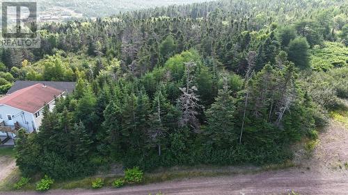 100C Main Street, Lewin'S Cove, NL 