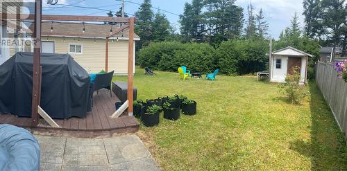 24 Capri Court, Stephenville, NL - Outdoor