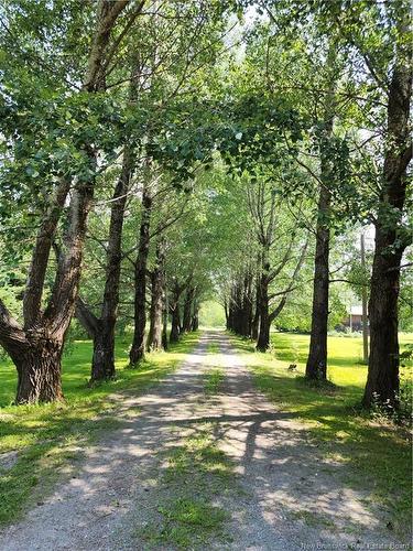 1064 Baisley Rd, Saint-Jacques, NB 