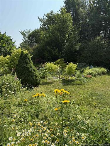 457 Rennie Rd, Miramichi, NB 