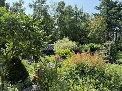 457 Rennie Rd, Miramichi, NB 