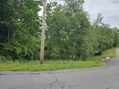 Centennial Avenue, Lunenburg, NS 