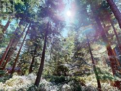 1349 VANCOUVER BLVD  Savary Island, BC None