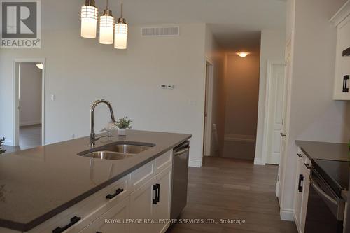 48 Callams Bay Crescent, Amherstburg, ON - Indoor Photo Showing Kitchen With Double Sink