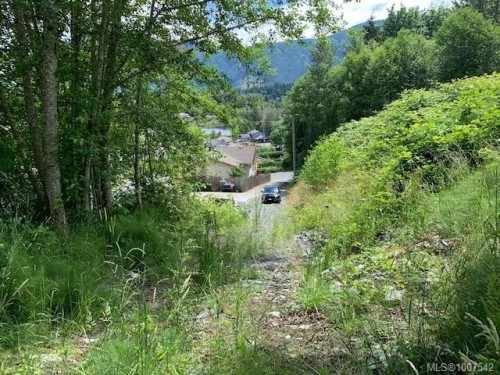 167 River Rd, Lake Cowichan, BC 