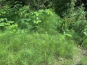 167 River Rd, Lake Cowichan, BC 