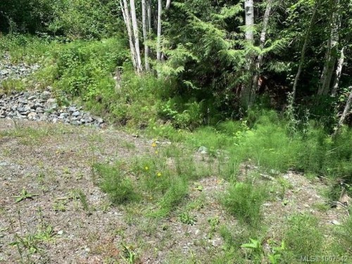 167 River Rd, Lake Cowichan, BC 