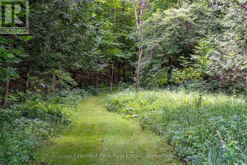 838151 4Th Line E, Mulmur, ON - Outdoor