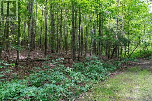 838151 4Th Line E, Mulmur, ON - Outdoor