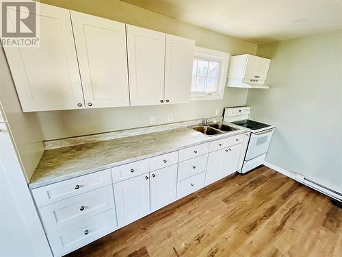 8A Poplar Road, Springdale, NL - Indoor Photo Showing Kitchen With Double Sink