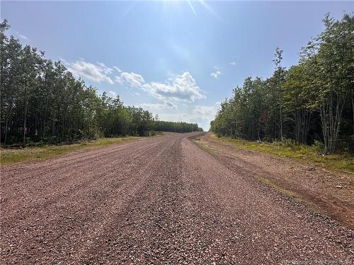 Lot 25-37 Snowfox Dr, Irishtown, NB 