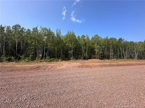 Lot 25-37 Snowfox Dr, Irishtown, NB 