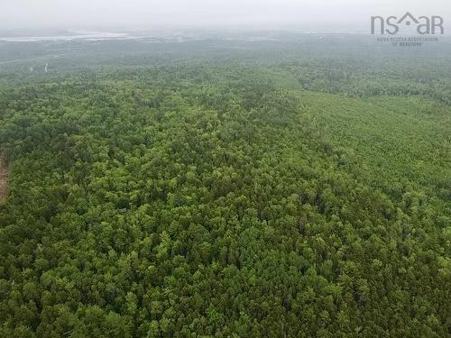 Bog Road, Mount Denson, NS 