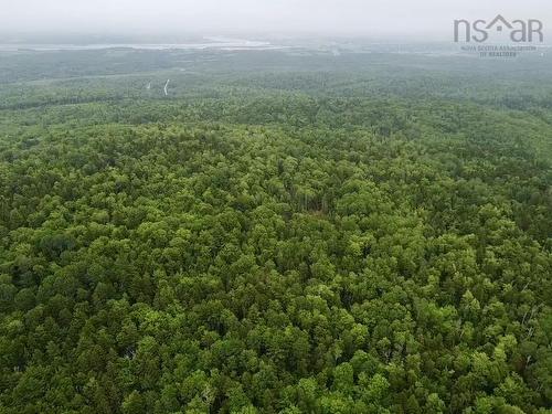 Bog Road, Mount Denson, NS 