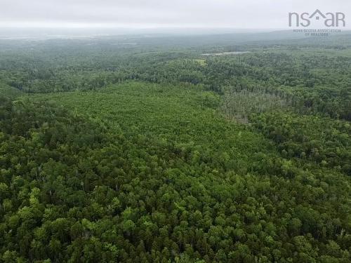 Bog Road, Mount Denson, NS 