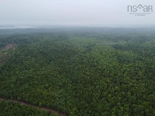 Bog Road, Mount Denson, NS 