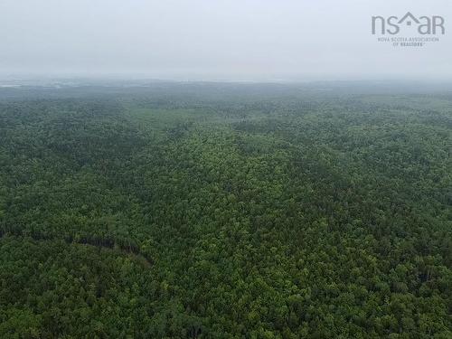 Bog Road, Mount Denson, NS 