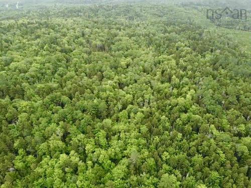 Bog Road, Mount Denson, NS 