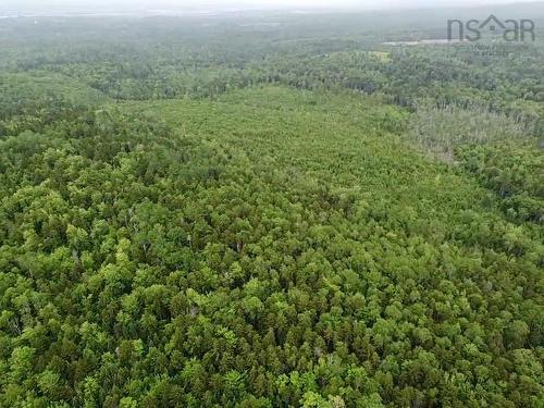 Bog Road, Mount Denson, NS 