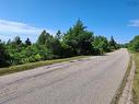 Cheticamp Back Road, Belle Marche, NS 