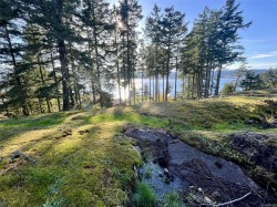 15-620 Helanton Rd  Quadra Island, BC V0P 1N0