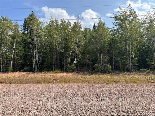 Lot 25-56 Snowfox Dr, Irishtown, NB 