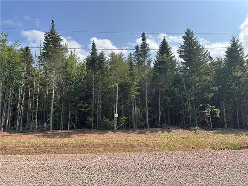 Lot 25-58 Snowfox Dr, Irishtown, NB 