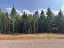 Lot 25-58 Snowfox Dr, Irishtown, NB 