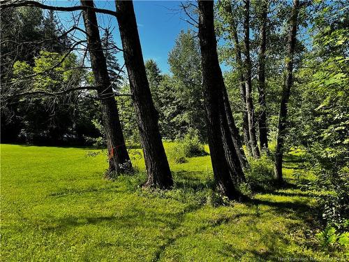 1076 Baisley Rd, Saint-Jacques, NB 