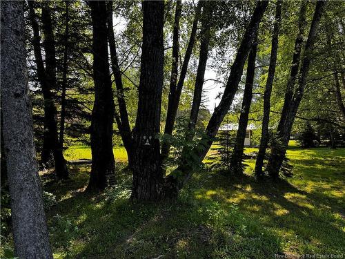 1076 Baisley Rd, Saint-Jacques, NB 