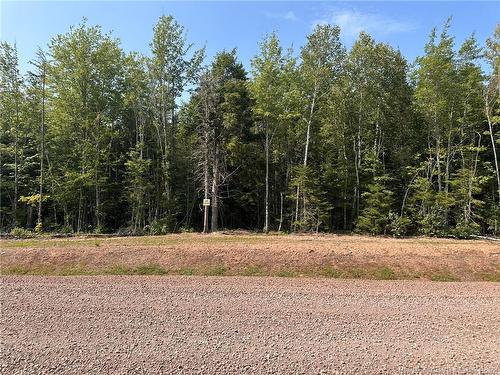 Lot 25-51 Snowfox Dr, Irishtown, NB 