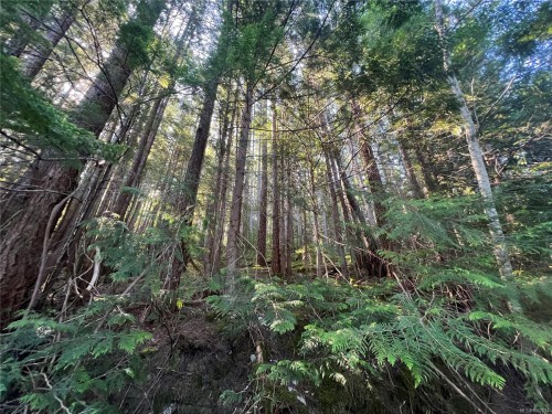 Lots A&B Granite Bay Rd, Quadra Island, BC 