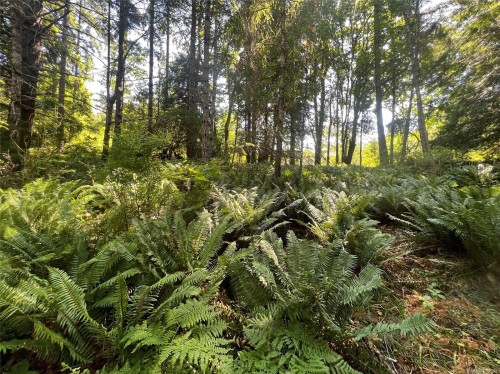 Lots A&B Granite Bay Rd, Quadra Island, BC 