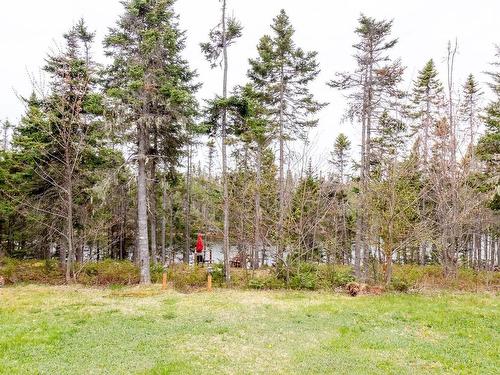 71 Riverview Drive, Fortune Bridge, PE 