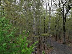 Lot 46 Turner Point Road  Walden, NS B0J 2E0