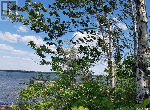 23 Delaronde Way (John Dunn Estates), Big River Rm No. 555, SK 