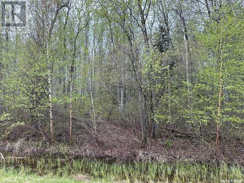 23 Delaronde Way (John Dunn Estates), Big River Rm No. 555, SK 