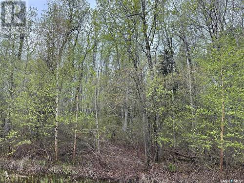 23 Delaronde Way (John Dunn Estates), Big River Rm No. 555, SK 