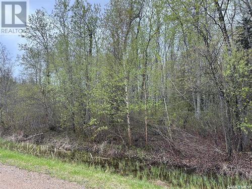 23 Delaronde Way (John Dunn Estates), Big River Rm No. 555, SK 