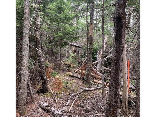 Vv2 Lot 2 Hunter Road, West Wentworth, NS 