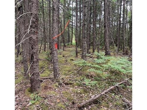 Vv3 Lot 3 Hunter Road, West Wentworth, NS 