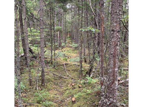 Vv4 Lot 4 Hunter Road, West Wentworth, NS 