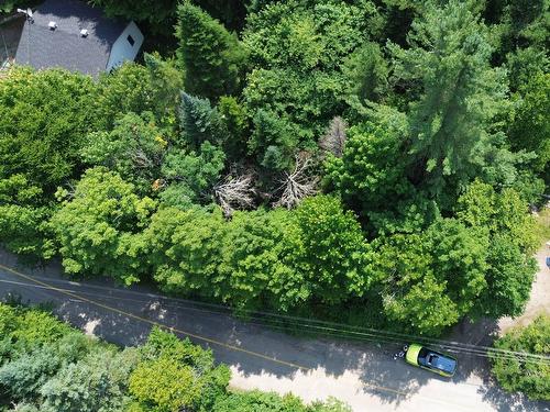 Rue - Ch. Du Cerf, Mont-Blanc, QC 