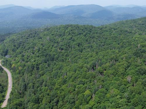 Photo aérienne - Ch. Du Cerf, Mont-Blanc, QC 