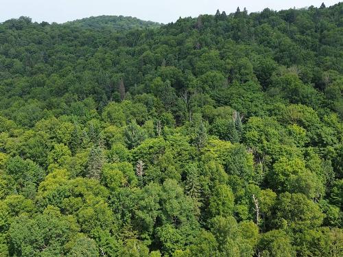 Photo aérienne - Ch. Du Cerf, Mont-Blanc, QC 