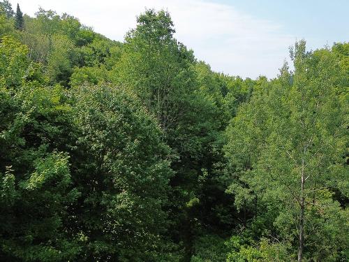 Photo aérienne - Ch. Du Cerf, Mont-Blanc, QC 