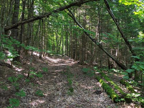Autre - Ch. Du Cerf, Mont-Blanc, QC 