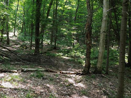 Autre - Ch. Du Cerf, Mont-Blanc, QC 