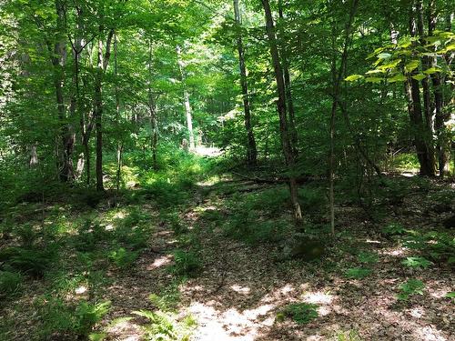 Autre - Ch. Du Cerf, Mont-Blanc, QC 